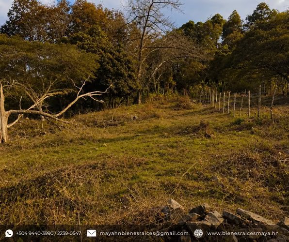 ¡Se venden lotes de terreno en Santa Cruz Arriba, Francisco Morazán!