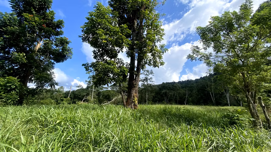  Se Vende Propiedad de 14 Manzanas en Cuyamelito, Omoa – Cortés