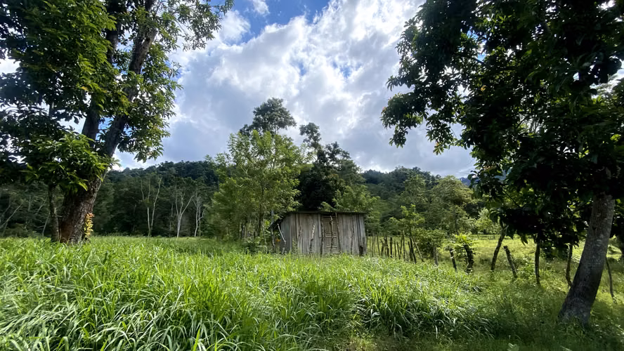  Se Vende Propiedad de 14 Manzanas en Cuyamelito, Omoa – Cortés