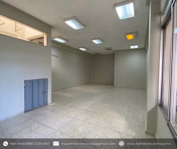 ¡Se alquila local para oficina en Col. Palmira! - Imagen 5