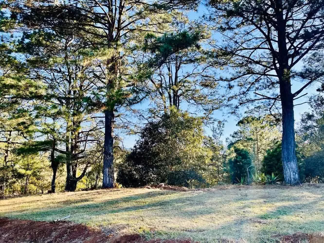 Se vende terreno en La Esperanza, Intibuca
