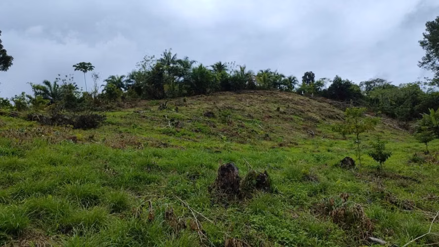 **¡Se vende hermosa finca de 4 manzanas en Tela, Atlántida\!** - Imagen 2