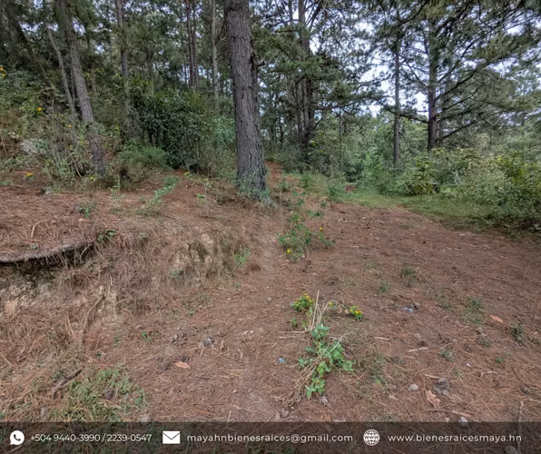 ¡Se vende terreno perfecto para invertir en La Esperanza, Intibucá!