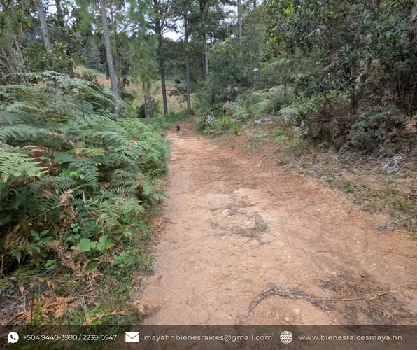 ¡Se vende terreno perfecto para invertir en La Esperanza, Intibucá!