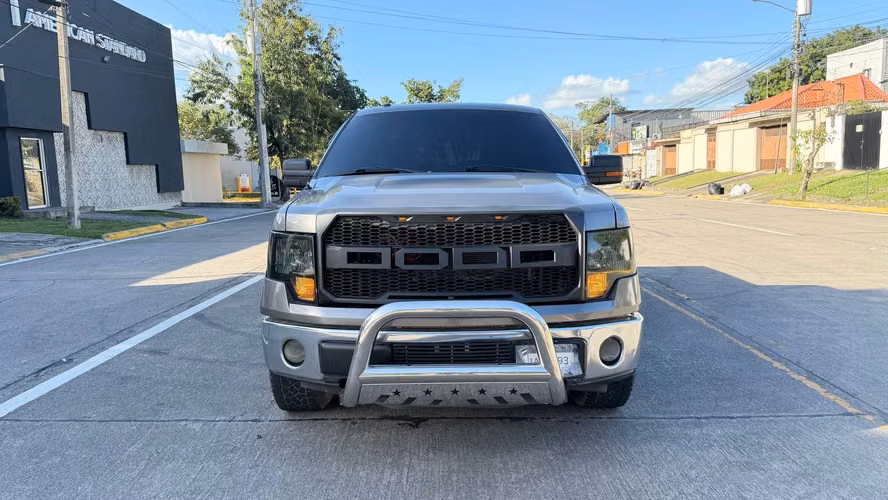 Ford F-150 2014 D/C