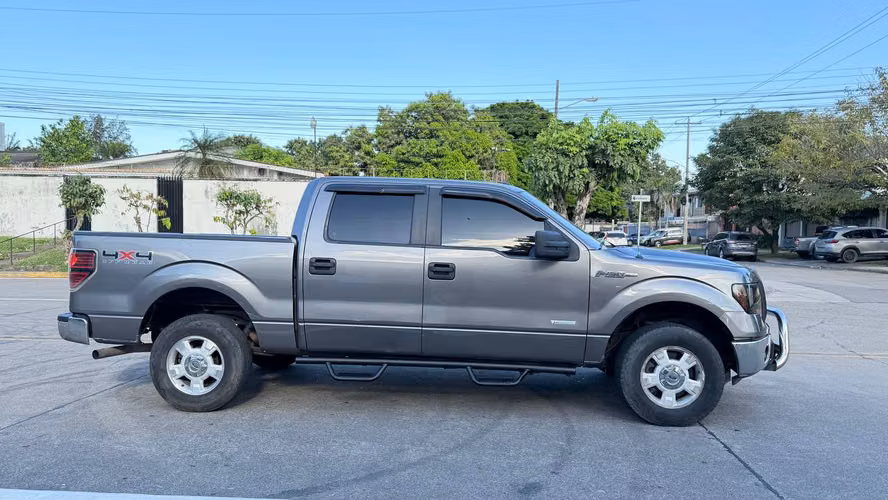 Ford F-150 2014 D/C