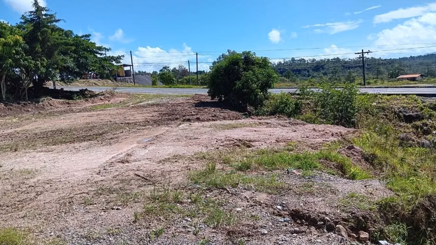 Lote comercial para restaurante o tienda minorista