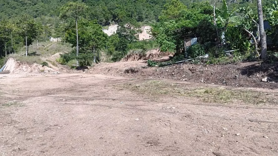 Lote comercial para restaurante o tienda minorista