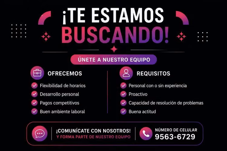 Publicitario