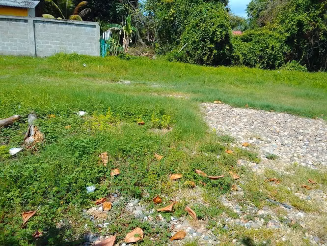 Terrenos en venta