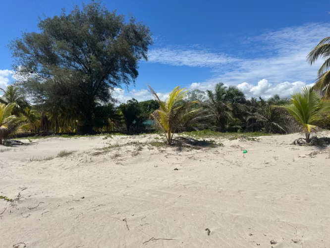 En Venta terrenos frente de playa en Tela - Imagen 3