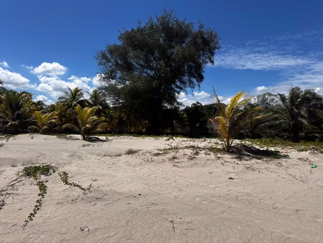 En Venta terrenos frente de playa en Tela