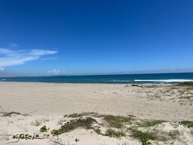 En Venta terrenos frente de playa en Tela - Imagen 2