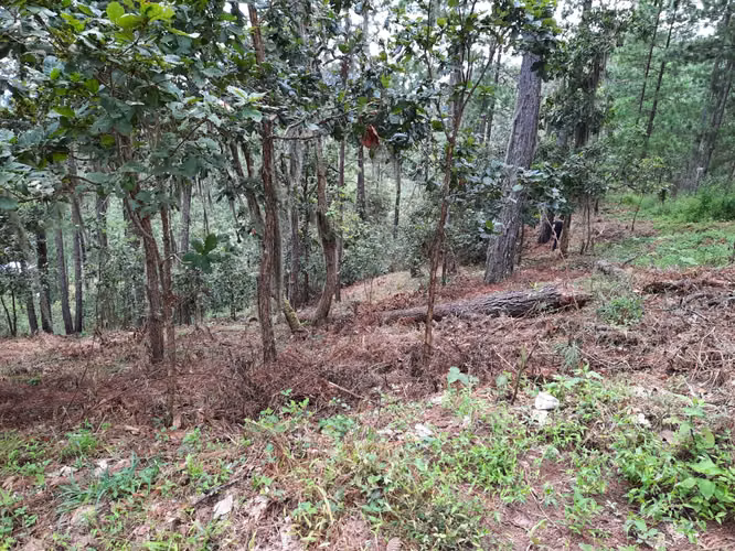 Ganga, Venta de terreno Santa Lucia