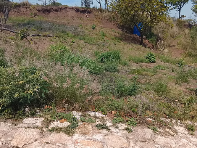 Ganga, Venta de terreno Santa Lucia