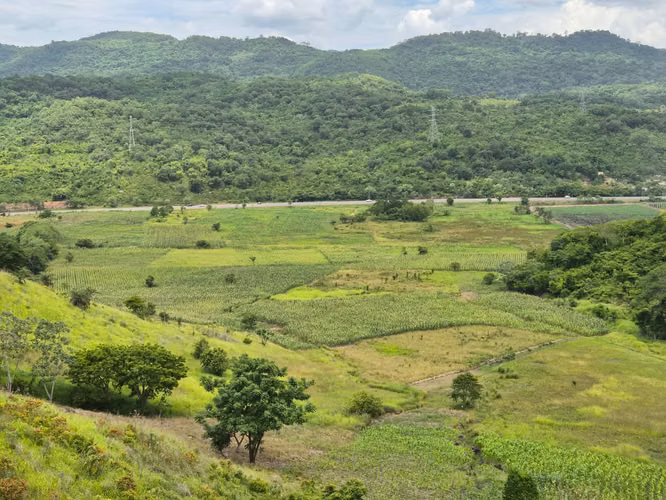  ¡TERRENO EN VENTA EN POTRERILLOS, CORTÉS – FRENTE A LA CA-5!