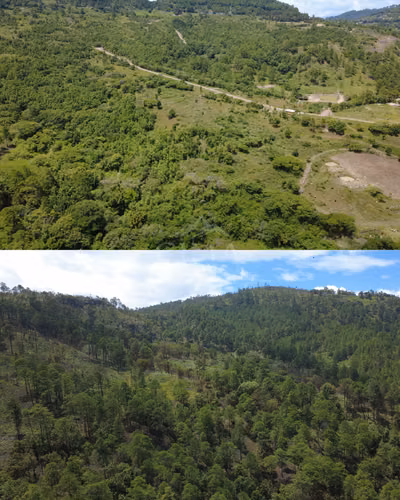  ¡Se venden terrenos en San Matías!  - Imagen 6