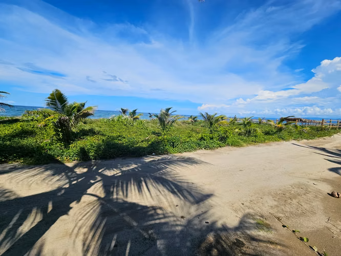  ¡TERRENO EN VENTA FRENTE A LA PLAYA – TELA, ATLÁNTIDA! - Imagen 3