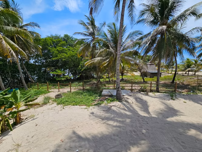  ¡TERRENO EN VENTA FRENTE A LA PLAYA – TELA, ATLÁNTIDA! - Imagen 2