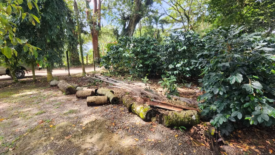 Venta de 2 Manzanas carretera hacia Panacam - Imagen 7