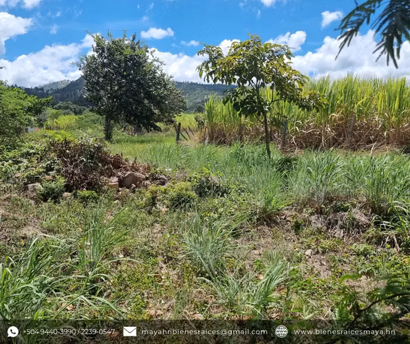 ¡Se venden terrenos en res. Hacienda Santa Clara, San Antonio de Oriente! - Imagen 3