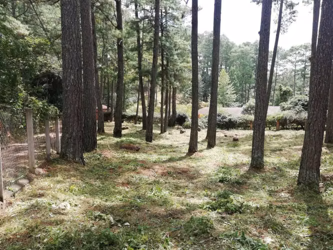 Precioso terreno plano en venta en Valle de Ángeles - Imagen 4