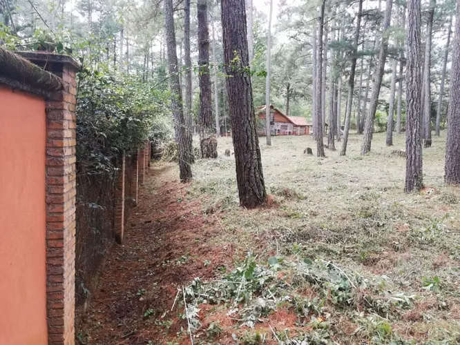 Precioso terreno plano en venta en Valle de Ángeles - Imagen 5