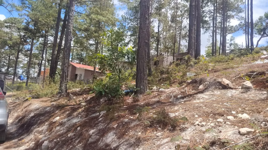 Se Vende Lote de Terreno Zona El Rodeo/Tatumbla
