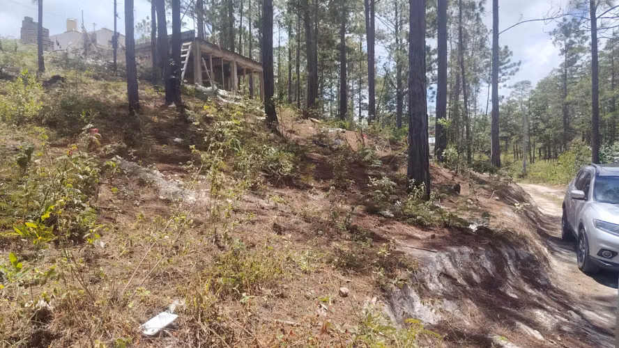Se Vende Lote de Terreno Zona El Rodeo/Tatumbla