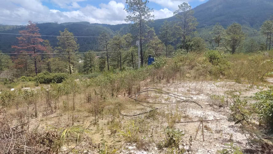 Se Vende Lote de Terreno en El Rodeo/Tatumbla - Imagen 3
