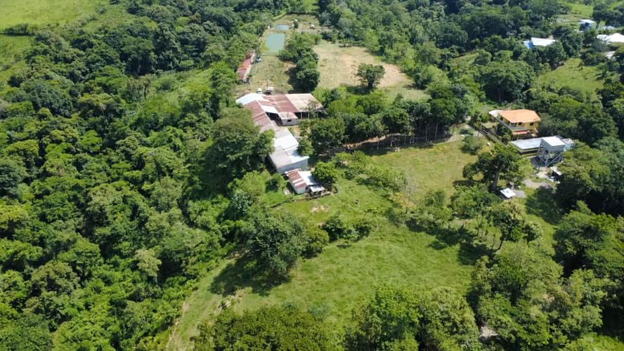  ¡PROPIEDAD EN VENTA DE 12 MANZANAS – OROPÉNDOLA, SANTA CRUZ DE YOJOA! - Imagen 8