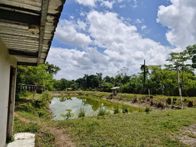  ¡PROPIEDAD EN VENTA DE 12 MANZANAS – OROPÉNDOLA, SANTA CRUZ DE YOJOA! - Imagen 2
