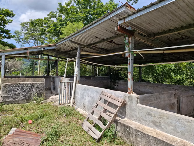  ¡PROPIEDAD EN VENTA DE 12 MANZANAS – OROPÉNDOLA, SANTA CRUZ DE YOJOA! - Imagen 9