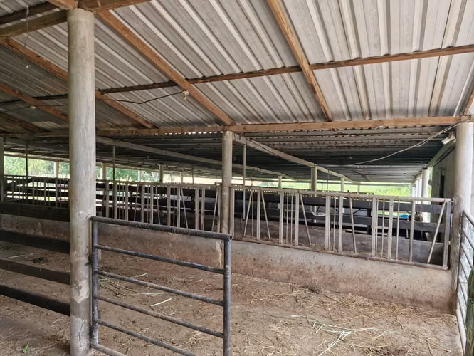  ¡PROPIEDAD EN VENTA DE 12 MANZANAS – OROPÉNDOLA, SANTA CRUZ DE YOJOA! - Imagen 7