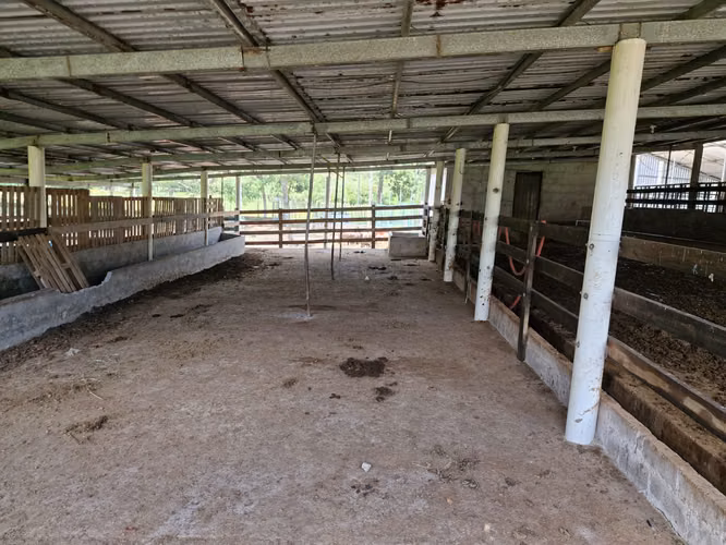  ¡PROPIEDAD EN VENTA DE 12 MANZANAS – OROPÉNDOLA, SANTA CRUZ DE YOJOA! - Imagen 10