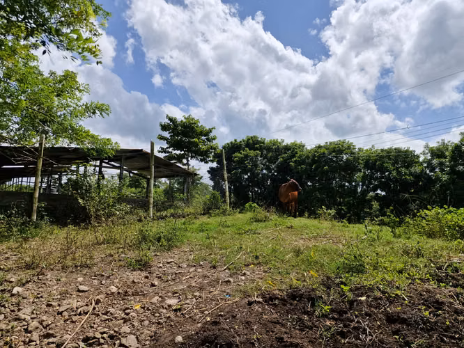  ¡PROPIEDAD EN VENTA DE 12 MANZANAS – OROPÉNDOLA, SANTA CRUZ DE YOJOA! - Imagen 6