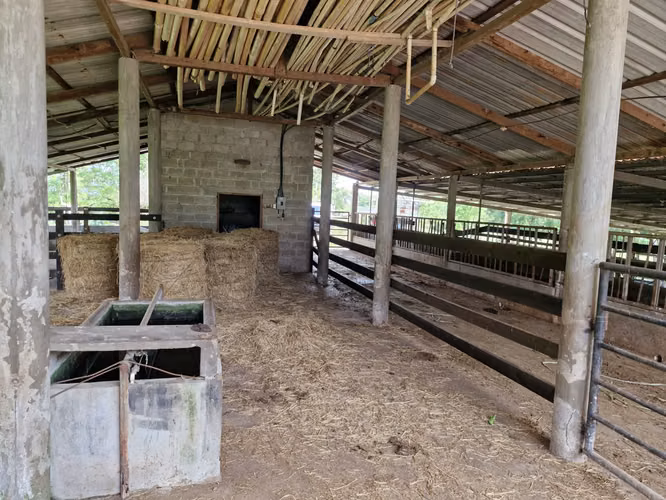  ¡PROPIEDAD EN VENTA DE 12 MANZANAS – OROPÉNDOLA, SANTA CRUZ DE YOJOA! - Imagen 5