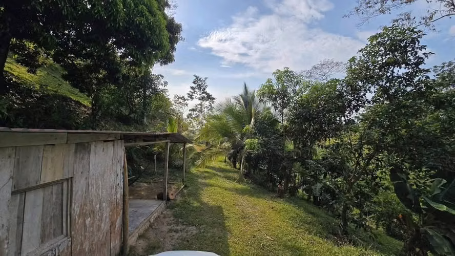  ¡PROPIEDAD EN VENTA DE 75 MANZANAS – OMOA, CORTÉS! - Imagen 9