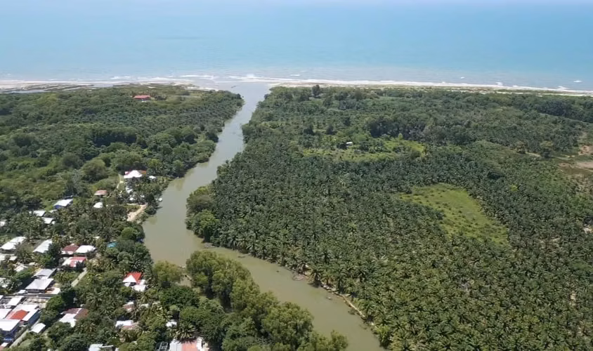Se venden 150 manzanas con Palma Africana en Jutiapa, Atlántida ,  - Imagen 2