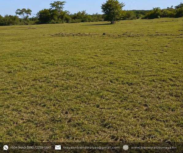 ¡Se vende Terreno en Santo Domingo, Intibucá! - Imagen 3