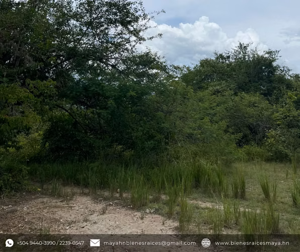 ¡Se vende Terreno en Santo Domingo, Intibucá! - Imagen 4