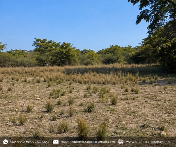 ¡Se vende Terreno en Santo Domingo, Intibucá! - Imagen 4