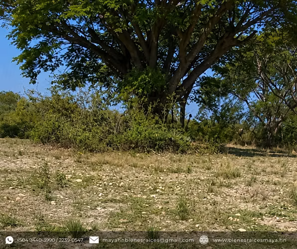 ¡Se vende Terreno en Santo Domingo, Intibucá! - Imagen 3