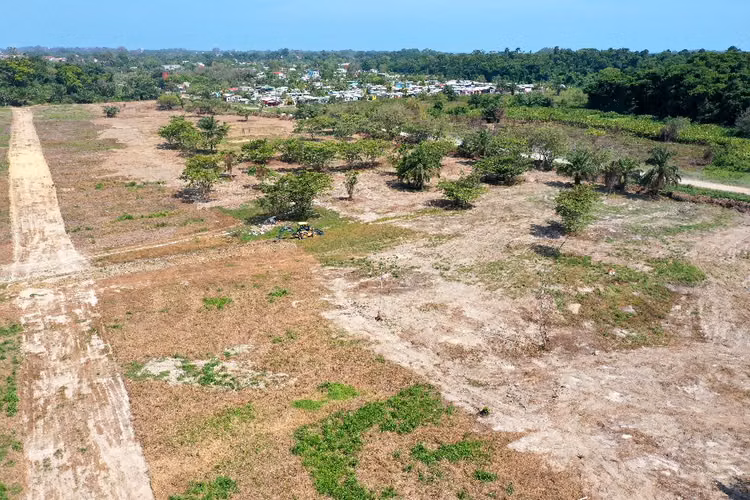 Lote Comercial 20x65 Varas, Frente a Bulevar del Este - La Ceiba - Imagen 6