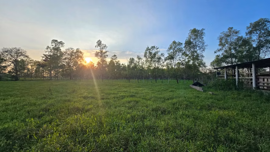  ¡PROPIEDAD EN VENTA EN RÍO CHIQUITO, OMOA – A ORILLA DE PAVIMENTO!