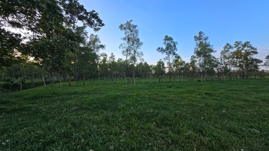  ¡PROPIEDAD EN VENTA EN RÍO CHIQUITO, OMOA – A ORILLA DE PAVIMENTO!