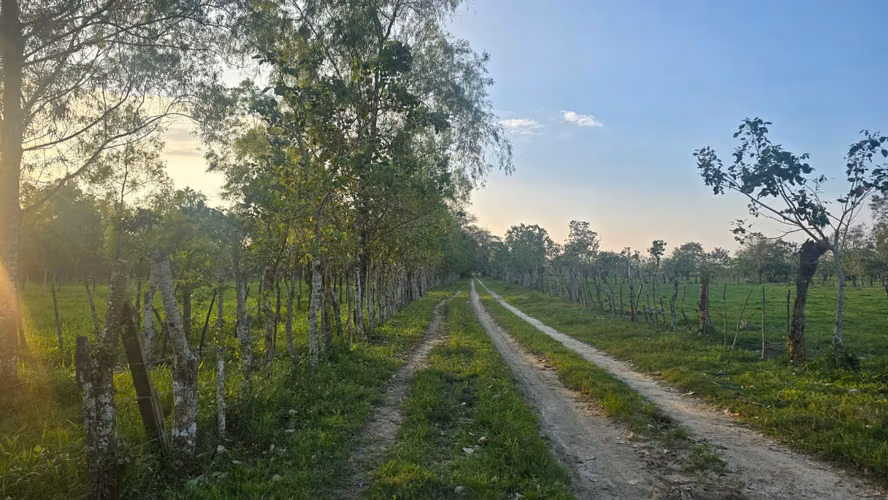  ¡PROPIEDAD EN VENTA EN RÍO CHIQUITO, OMOA – A ORILLA DE PAVIMENTO!