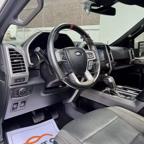 FORD F150 RAPTOR 2019 - Imagen 9