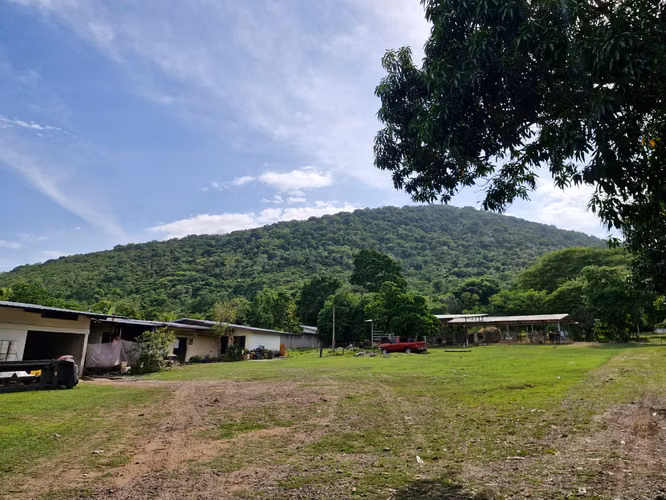  ¡FINCA EN VENTA EN SAN MANUEL, CORTÉS! 