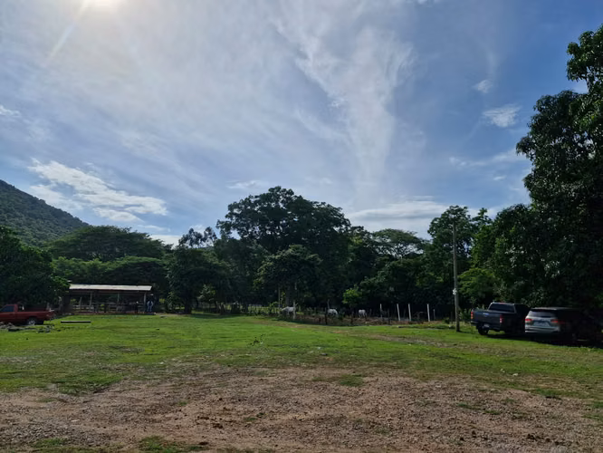  ¡FINCA EN VENTA EN SAN MANUEL, CORTÉS!  - Imagen 8